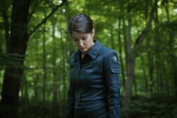 Hill se prépare à arrêter HYDRA