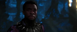 T'Challa plaide le regne d'