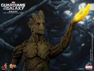 Groot Hot Toys 3