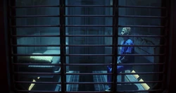 Leader enfermé dans le Raft