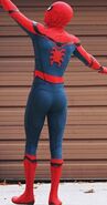 Spider-Man Suit backside 03