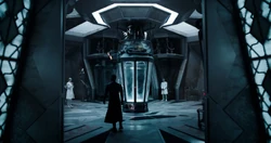 Le Maître de l'évolution expérimente sur une tortue