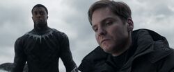 Helmut Zemo & T'Challa