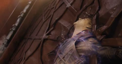 Adam blessé par le Maître de l'évolution