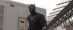 Black Panther salue 