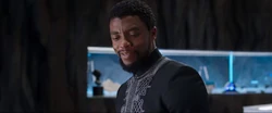 T'Challa porte ses 