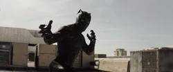 Black Panther confronte le Soldat de l'hiver