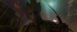 Groot sauve Drax