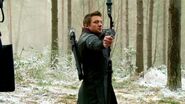 Hawkeye BTS