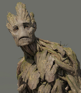 Groot1-GotGBR