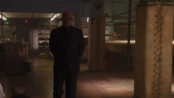 Fury trouve  s'entraînant