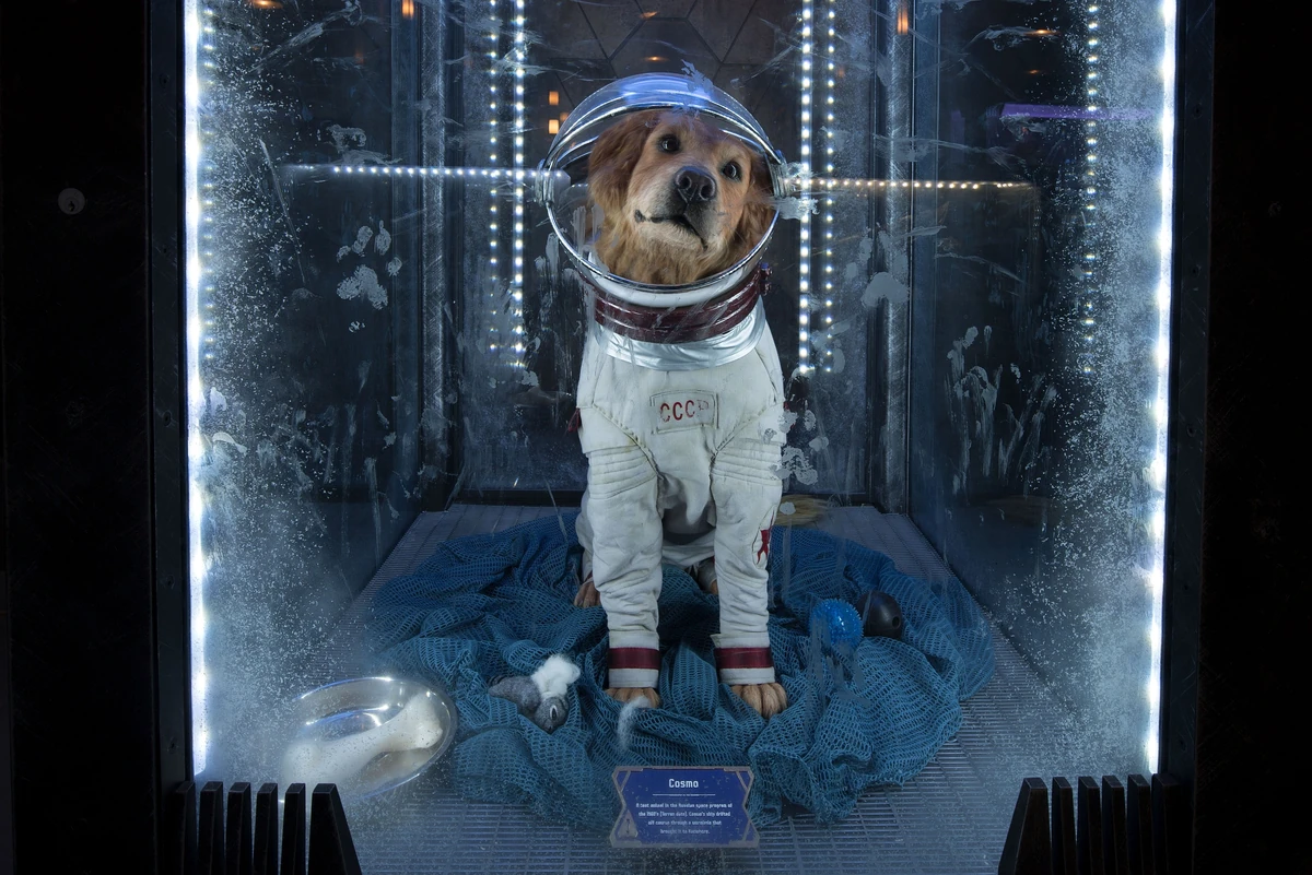 Cosmo the Spacedog Marvel Theme Park Universe Wiki Fandom