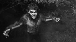 Werewolf by Night