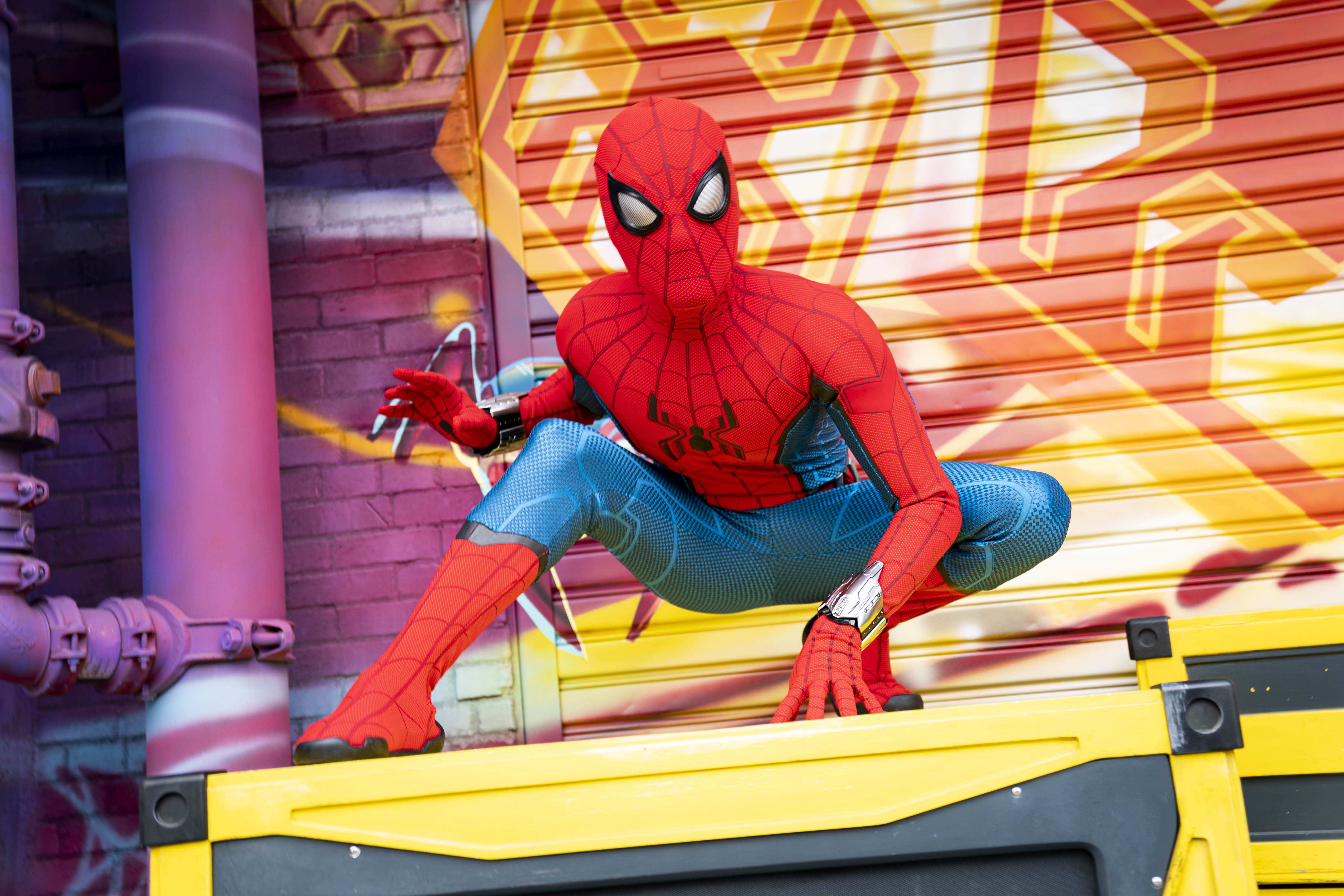 Large Huge Spiderman Web Superhero Cartoon 8.5 x 7 Iron On