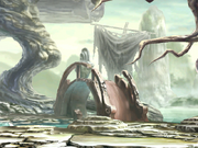 Swamp 1