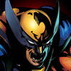 Wolverine (1).jpg