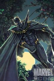 Blackpanther1