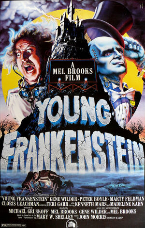 Young-frankenstein poster