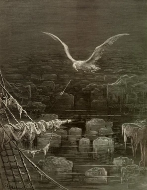 The Mariner shooting down the Albatross.