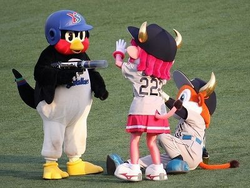 Mondo Mascots on X: Today was due to be Tsubakuro the Swallow's 2000th  appearance as mascot for the Yakult Swallows, but the game was rained off.   / X