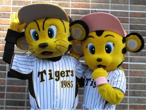 To-Lucky | Mascot Wiki | Fandom