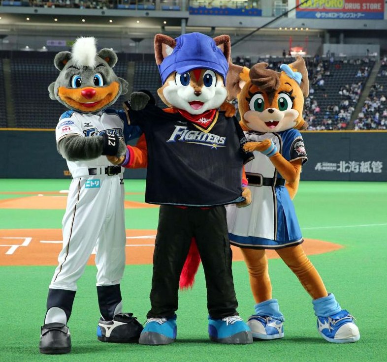 Hokkaido Nippon-Ham Fighters Baseball Uniform