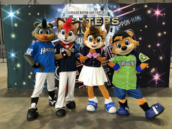 Frep the Fox, Mascot Wiki