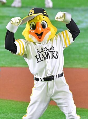 Harry Hawk Fukuoka Softbank Hawks Mascot Wiki Fandom Harry Hawk Fukuoka Softbank Hawks Mascot Wiki Fandom