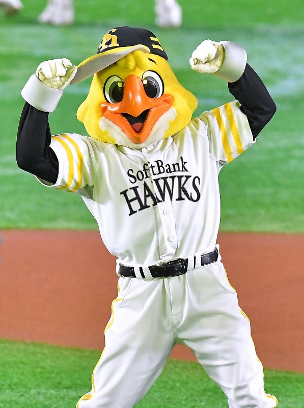 Harry Hawk (Fukuoka SoftBank Hawks), Mascot Wiki