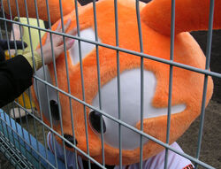 Giabbit, Giabbit, the Yomiuri Giants mascot. My dad asked f…