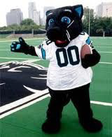 Carolina Panthers mascot Sir Purr is dressed in army fatigues in