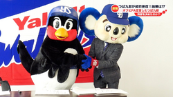  Tokyo Yakult Swallows Mascot Tsuba Kuro Goods (Tsuba Kuro  Master Ver) : Sports & Outdoors