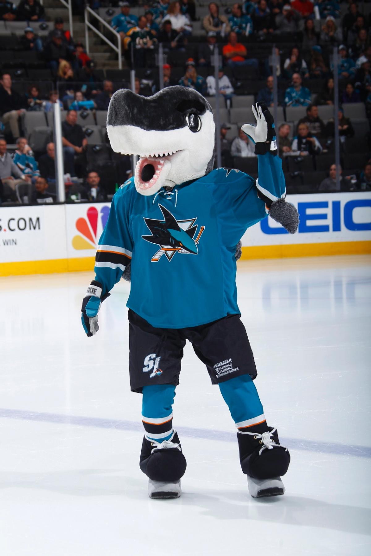 sj sharkie plush