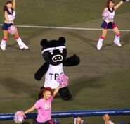 BooBo at a baseball game.