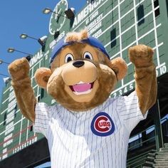 Chicago Cubs introduce mascot Clark 