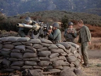 Frank's gun 3 inch 23 caliber naval gun. The short barrel and the recoil mechanism (a "recuperator") at the top are quite distinctive.