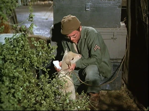 Mash-season-3-14-private-charles-lamb-radar
