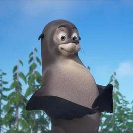 Морской котик