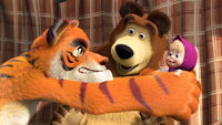 20. Stripes and Whiskers