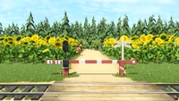 The forest behind the sunflower field in the ep. 15. Little Cousin