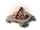 Campfire