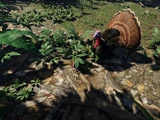 Farming