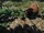 Farming