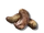 Cashew