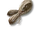 Fiber
