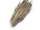 Thatch