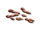 Guava Seed