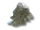 Plaster