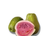 Guava