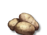 Potato